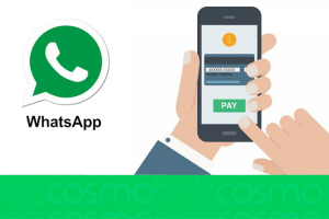 WhatsApp-para-Fintechs-a-revolucao-do-atendimento-ao-cliente
